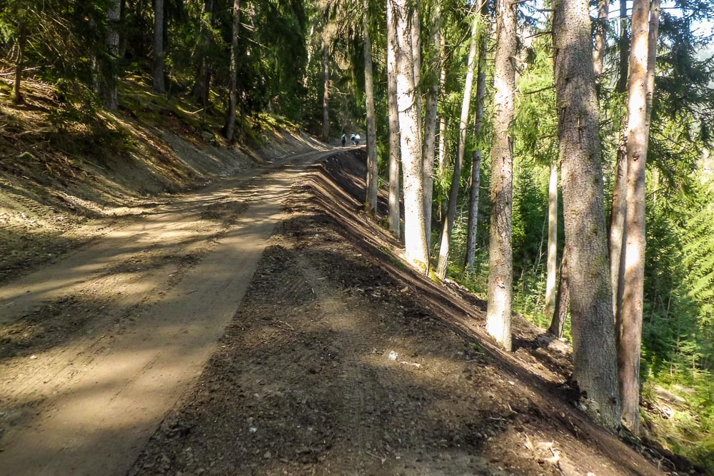 Tiefbau Hofer Baggerarbeiten Eisacktal Südtirol Wege Strassen Forststraße Zufahrten