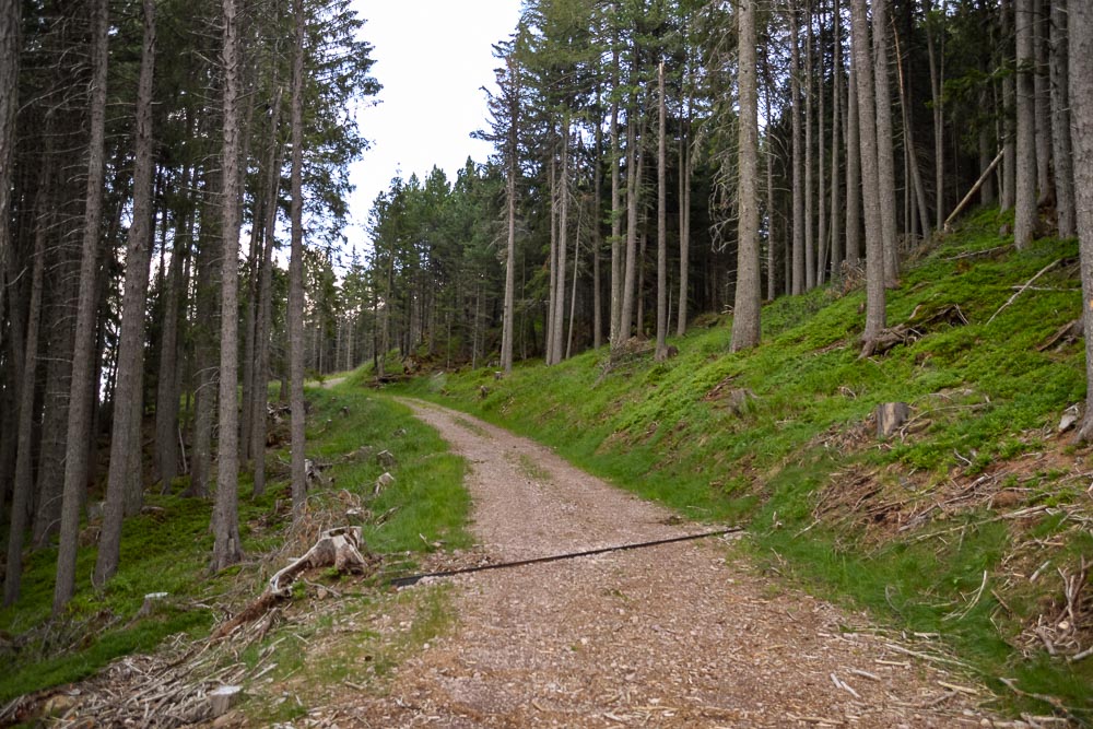 Tiefbau Hofer Baggerarbeiten Eisacktal Südtirol Wege Strassen Forststraße Zufahrten