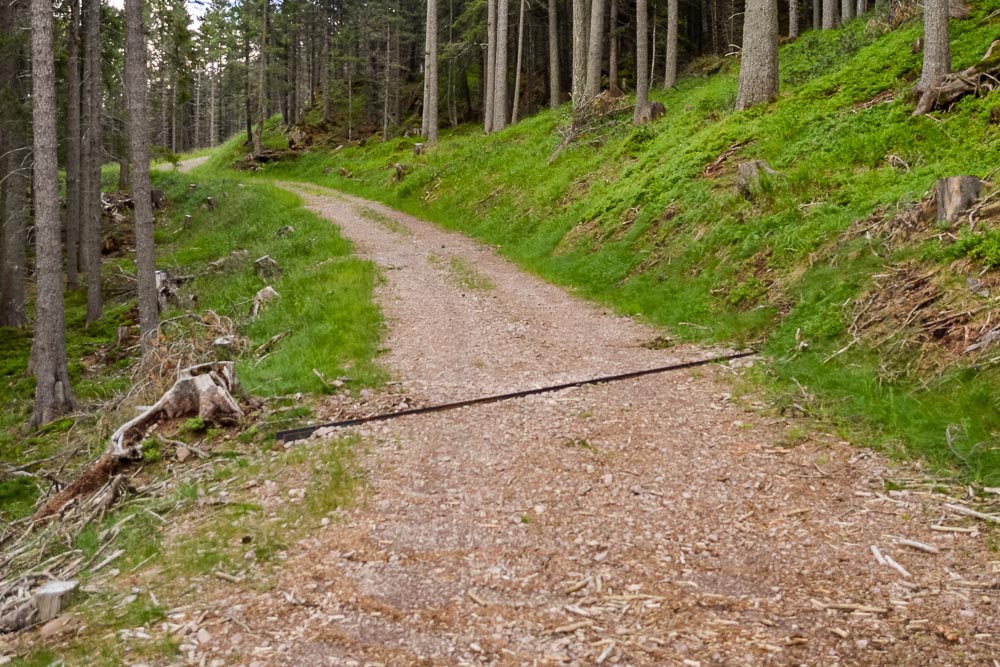 Tiefbau Hofer Baggerarbeiten Eisacktal Südtirol Wege Strassen Forststraße Zufahrten