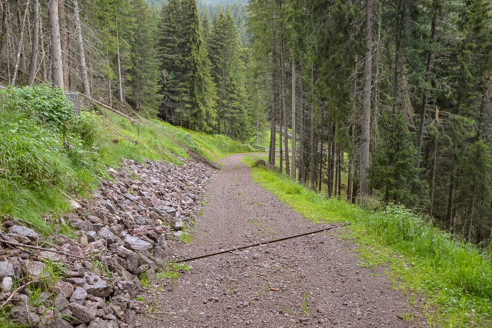 Tiefbau Hofer Baggerarbeiten Eisacktal Südtirol Wege Strassen Forststraße Zufahrten